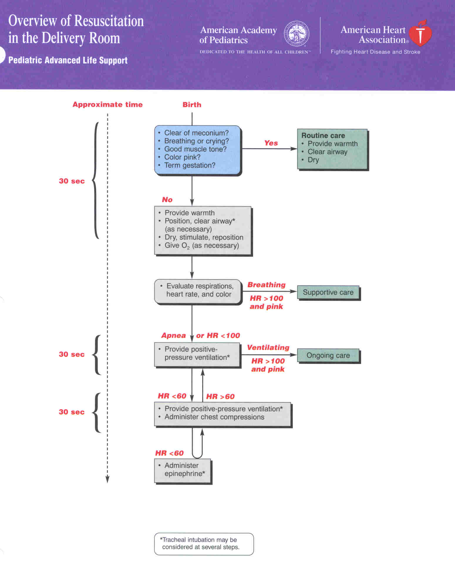 Neonatal Resuscitation Equipment: A Definitive Guide For Professionals - v4a6fdb